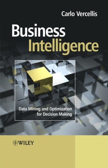 Carlo Vercellis - Business Intelligence, E-bok