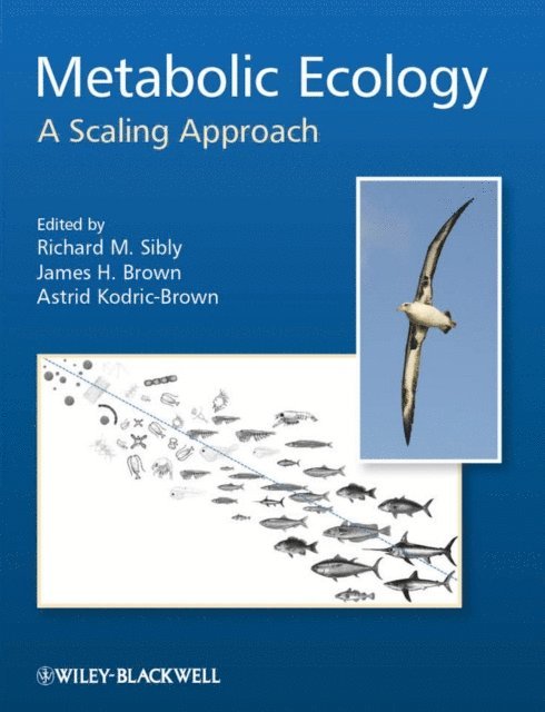 Astrid Kodric-Brown, James H. Brown, Richard M. Sibly - Metabolic Ecology, E-bok