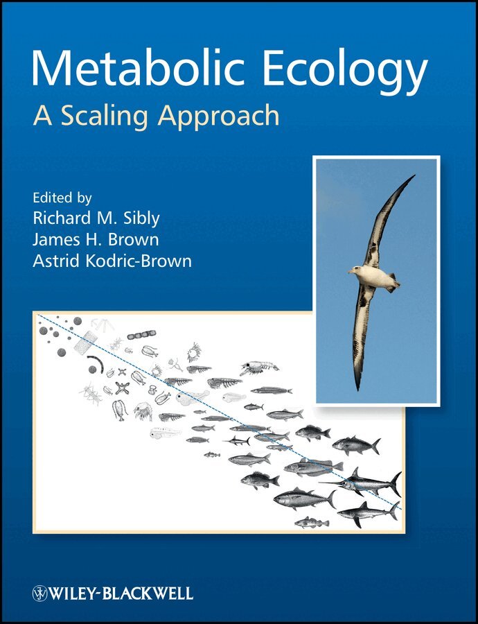 RM Sibly - Metabolic Ecology – A Scaling Approach. Tillgänglighet: Tillfälligt slut