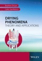 Drying Phenomena
