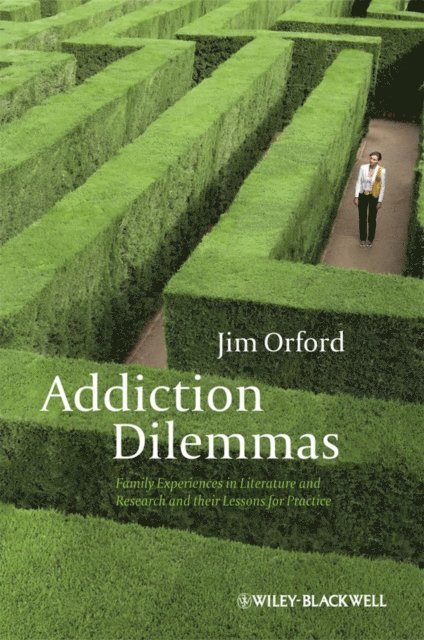 Jim Orford - Addiction Dilemmas, E-bok