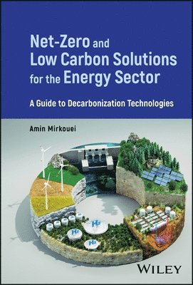 Amin Mirkouei - Net-Zero and Low Carbon Solutions for the Energy Sector, Inbunden