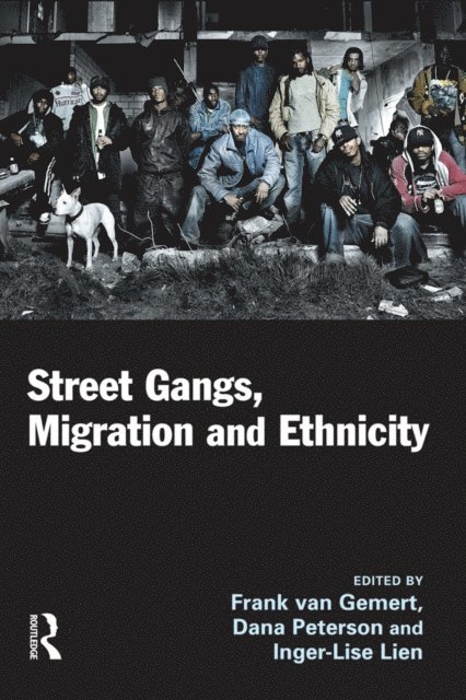 Inger-Lise Lien, Dana Peterson, Frank van Gemert - Street Gangs, Migration and Ethnicity, E-bok