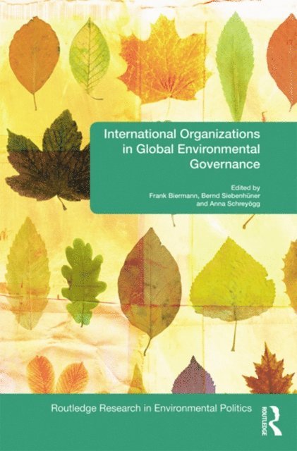 Anna Schreyogg, Bernd Siebenhuner, Frank Biermann - International Organizations in Global Environmental Governance, E-bok