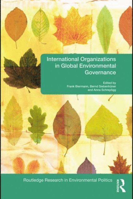 Anna Schreyogg, Bernd Siebenhuner, Frank Biermann - International Organizations in Global Environmental Governance, E-bok