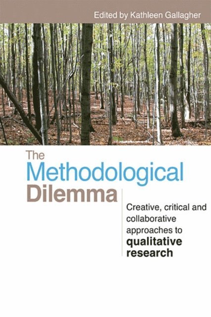 Kathleen Gallagher - Methodological Dilemma, E-bok