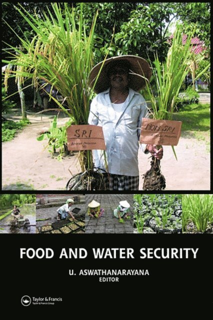 U. Aswathanarayana - Food and Water Security, E-bok