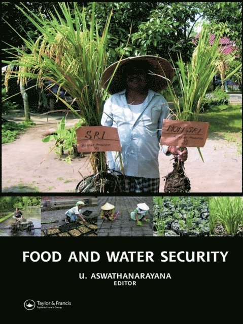 U. Aswathanarayana - Food and Water Security, E-bok