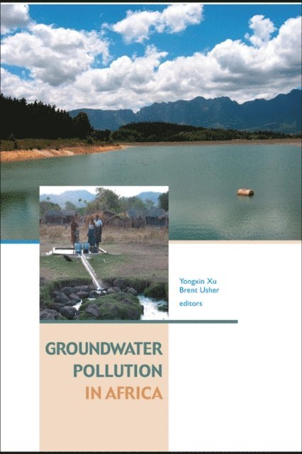 Brent Usher, Yongxin Xu - Groundwater Pollution in Africa, E-bok