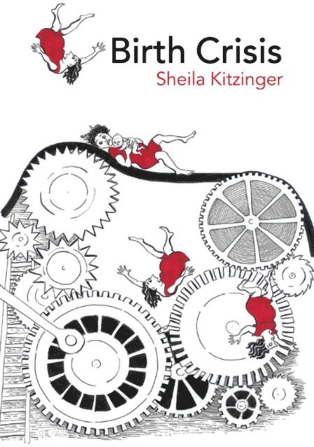 Sheila Kitzinger - Birth Crisis, E-bok
