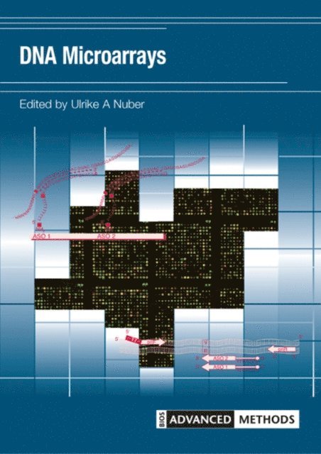 Ulrike Nuber - DNA Microarrays, E-bok