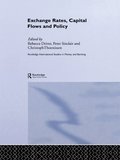 Exchange Rates, Capital Flows and Policy