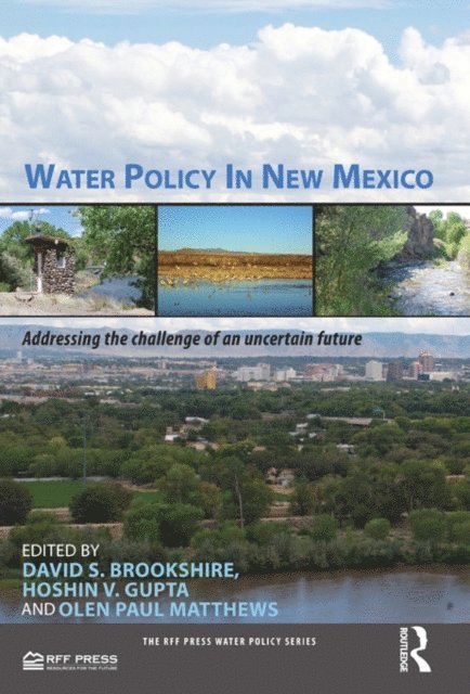 Olen Paul Matthews, Hoshin Gupta, David Brookshire - Water Policy in New Mexico, E-bok