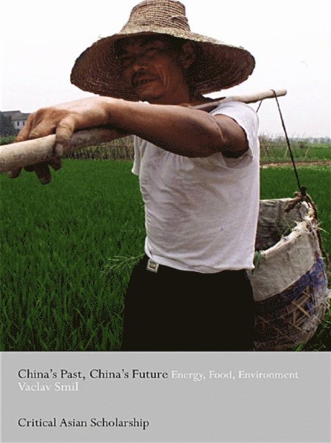Vaclav Smil - China's Past, China's Future, E-bok
