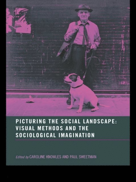 Paul Sweetman, Caroline Knowles - Picturing the Social Landscape, E-bok