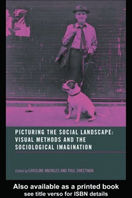 Paul Sweetman, Caroline Knowles - Picturing the Social Landscape, E-bok
