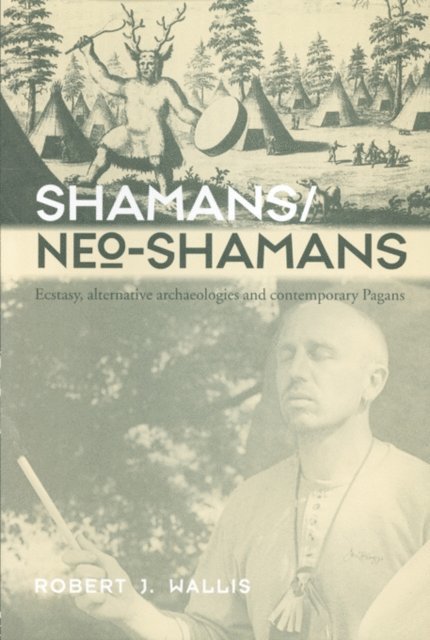 Robert J. Wallis - Shamans/Neo-Shamans, E-bok