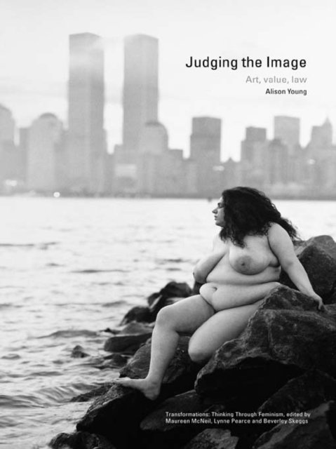 Alison Young - Judging the Image, E-bok