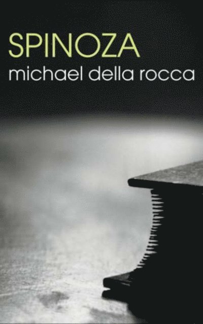 Michael Della Rocca - Spinoza, E-bok