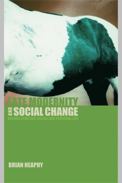 Brian Heaphy - Late Modernity and Social Change, E-bok