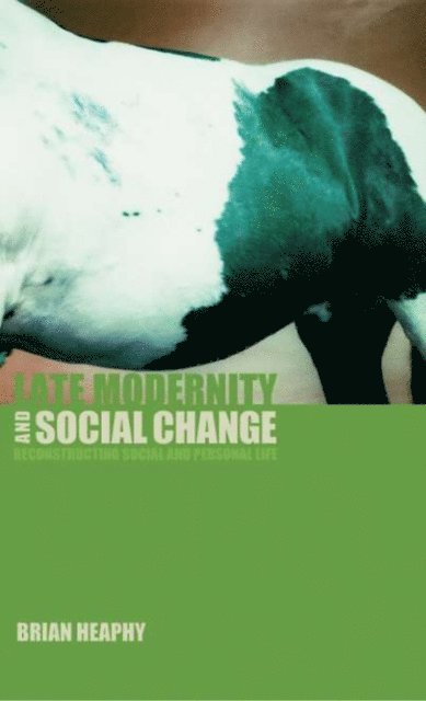 Brian Heaphy - Late Modernity and Social Change, E-bok