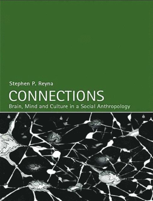 Stephen Reyna - Connections, E-bok