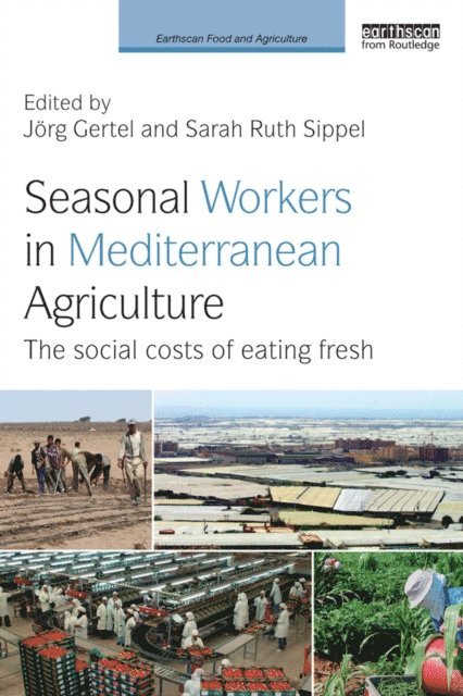 Sarah Ruth Sippel, Jorg Gertel - Seasonal Workers in Mediterranean Agriculture, E-bok