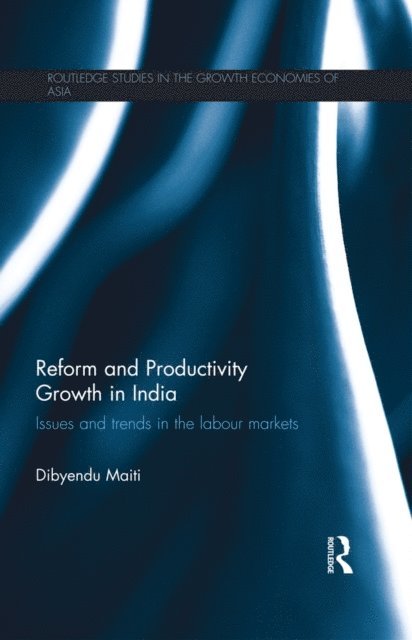 Dibyendu Maiti - Reform and Productivity Growth in India, E-bok