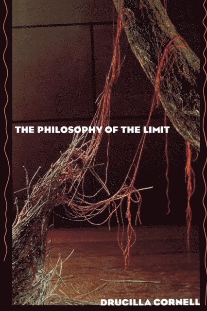 Drucilla Cornell - Philosophy of the Limit, E-bok