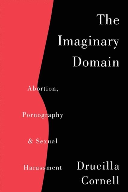 Drucilla Cornell - Imaginary Domain, E-bok