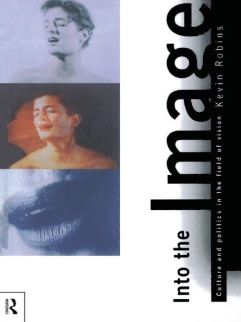 Kevin Robins - Into the Image, E-bok