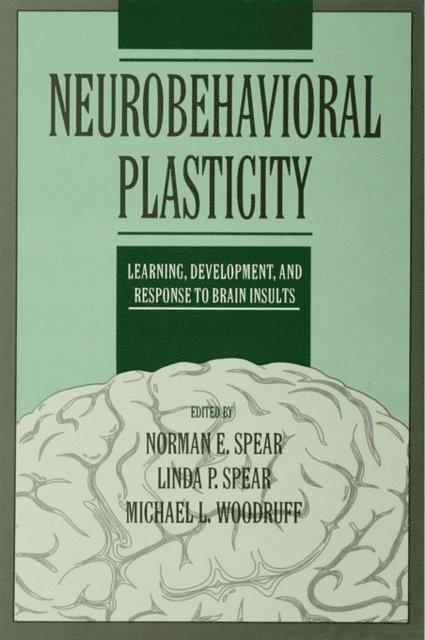 Michael L. Woodruff, Linda P. Spear, Norman E. Spear - Neurobehavioral Plasticity, E-bok