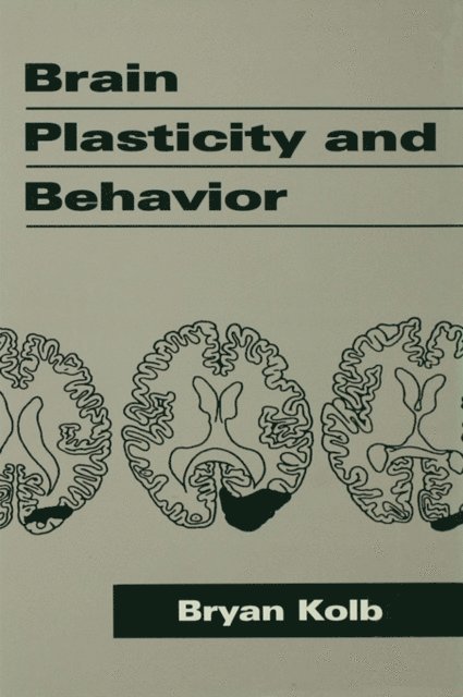 Bryan Kolb - Brain Plasticity and Behavior, E-bok