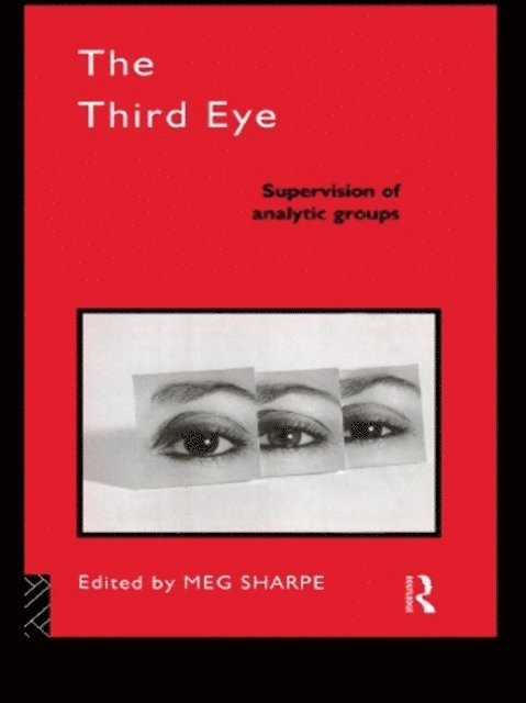 Meg Sharpe - Third Eye, E-bok