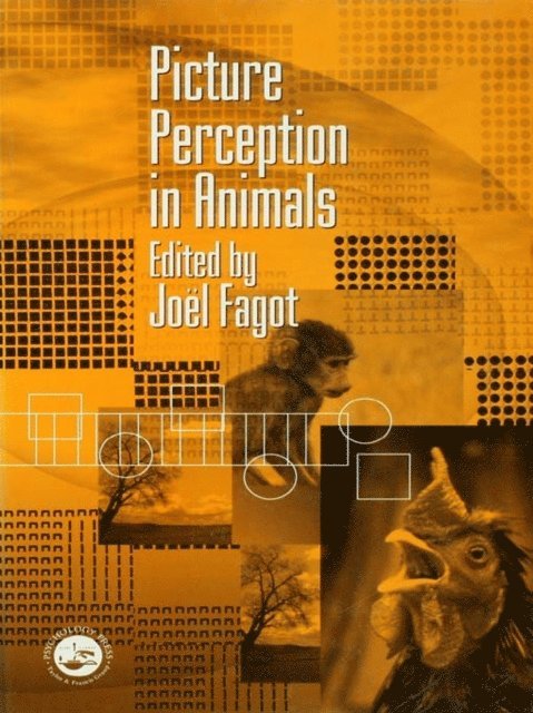Joel Fagot - Picture Perception in Animals, E-bok