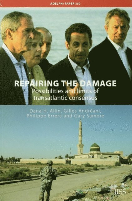 Dana H. Allin - Repairing the Damage, E-bok