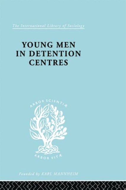 Sarah McCabe, Anne B. Dunlop - Young Men in Detention Centres Ils 213, E-bok