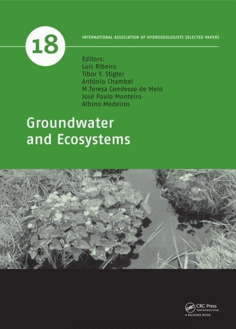 Albino Medeiros, Jose Paulo Monteiro, M. Teresa Condesso de Melo, Antonio Chambel, Tibor Y. Stigter, Luis Ribeiro - Groundwater and Ecosystems, E-bok