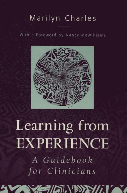 Marilyn Charles - Learning from Experience, E-bok