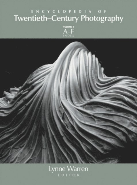Lynne Warren, Lynne Warren - Encyclopedia of Twentieth-Century Photography, 3-Volume Set, E-bok