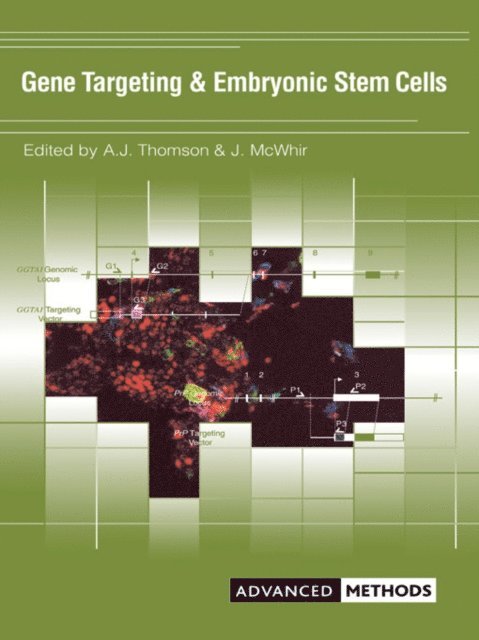 Alison Thomson, Jim Mcwhir - Gene Targeting and Embryonic Stem Cells, E-bok