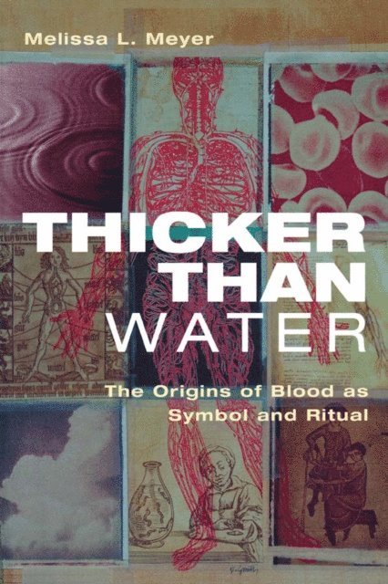 Melissa Meyer - Thicker Than Water, E-bok