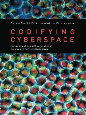Chris Marsden, Danilo Leonardi, Damian Tambini - Codifying Cyberspace, E-bok