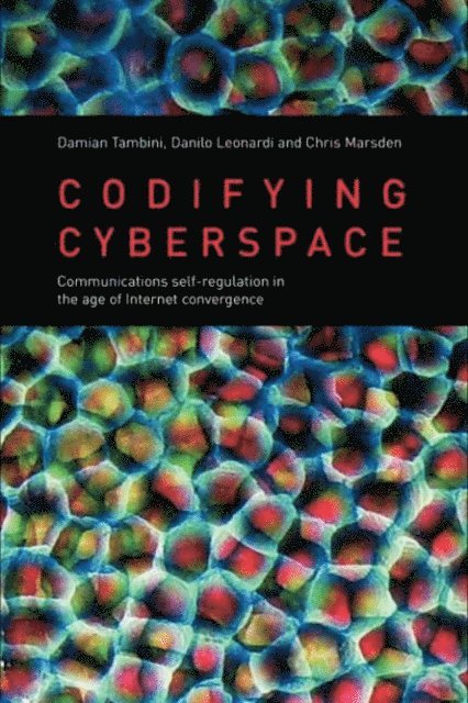 Chris Marsden, Danilo Leonardi, Damian Tambini - Codifying Cyberspace, E-bok