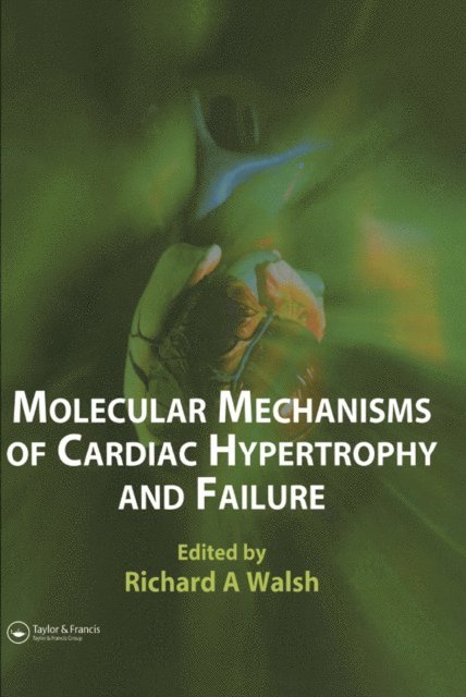 Richard A. Walsh - Molecular Mechanisms of Cardiac Hypertrophy and Failure, E-bok