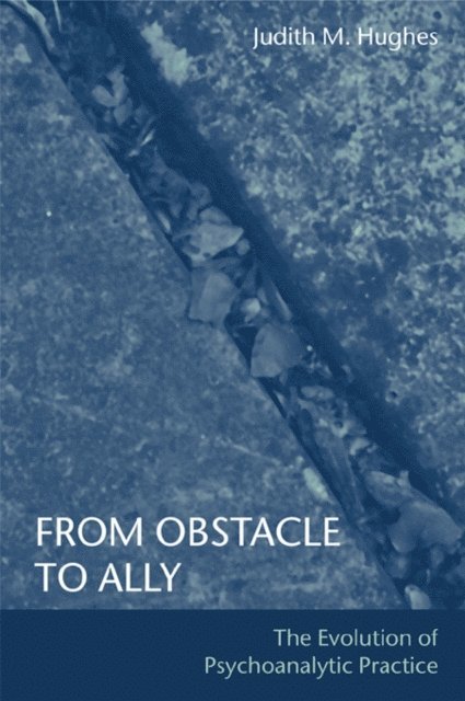 Judith M. Hughes - From Obstacle to Ally, E-bok