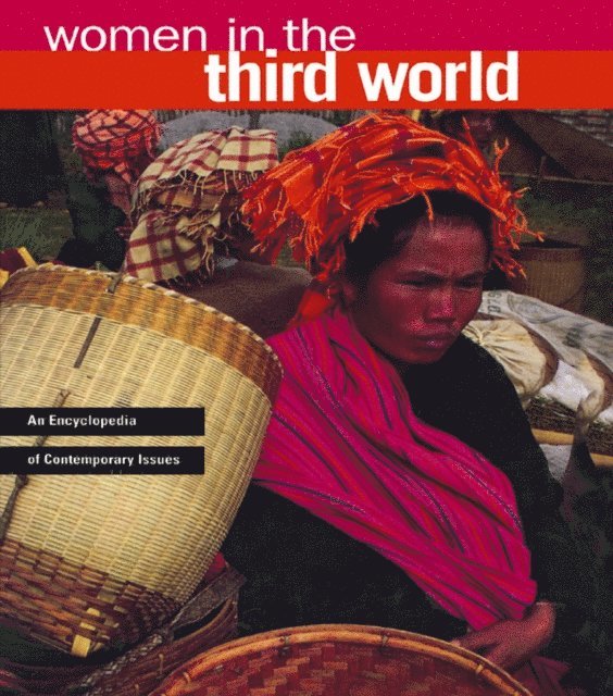 Nelly P. Stromquist - Women in the Third World, E-bok
