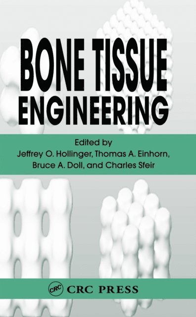 Charles Sfeir, Bruce Doll, Thomas A. Einhorn, Jeffrey O. Hollinger - Bone Tissue Engineering, E-bok