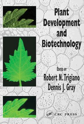 Carol L. Womack, Alice C. Littlejohn - Plant Development and Biotechnology, E-bok