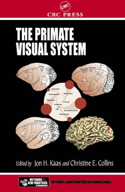 Christine E. Collins, Jon H. Kaas - Primate Visual System, E-bok